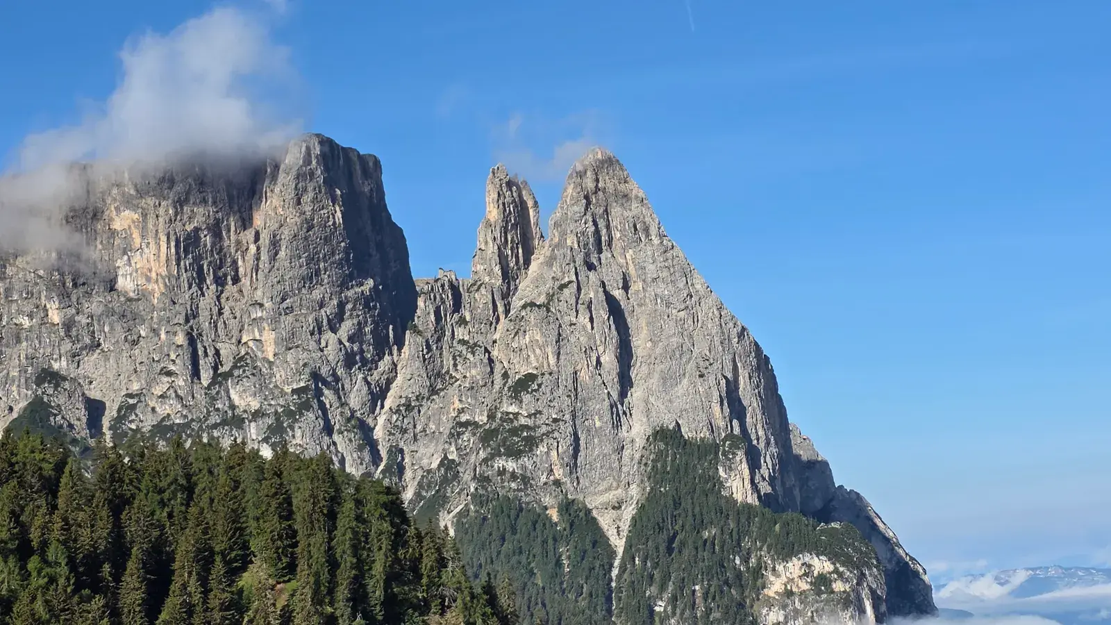 Dramatic rocky peaks rising above a coniferous forest with mist clinging to the upper slopes and blue sky above
