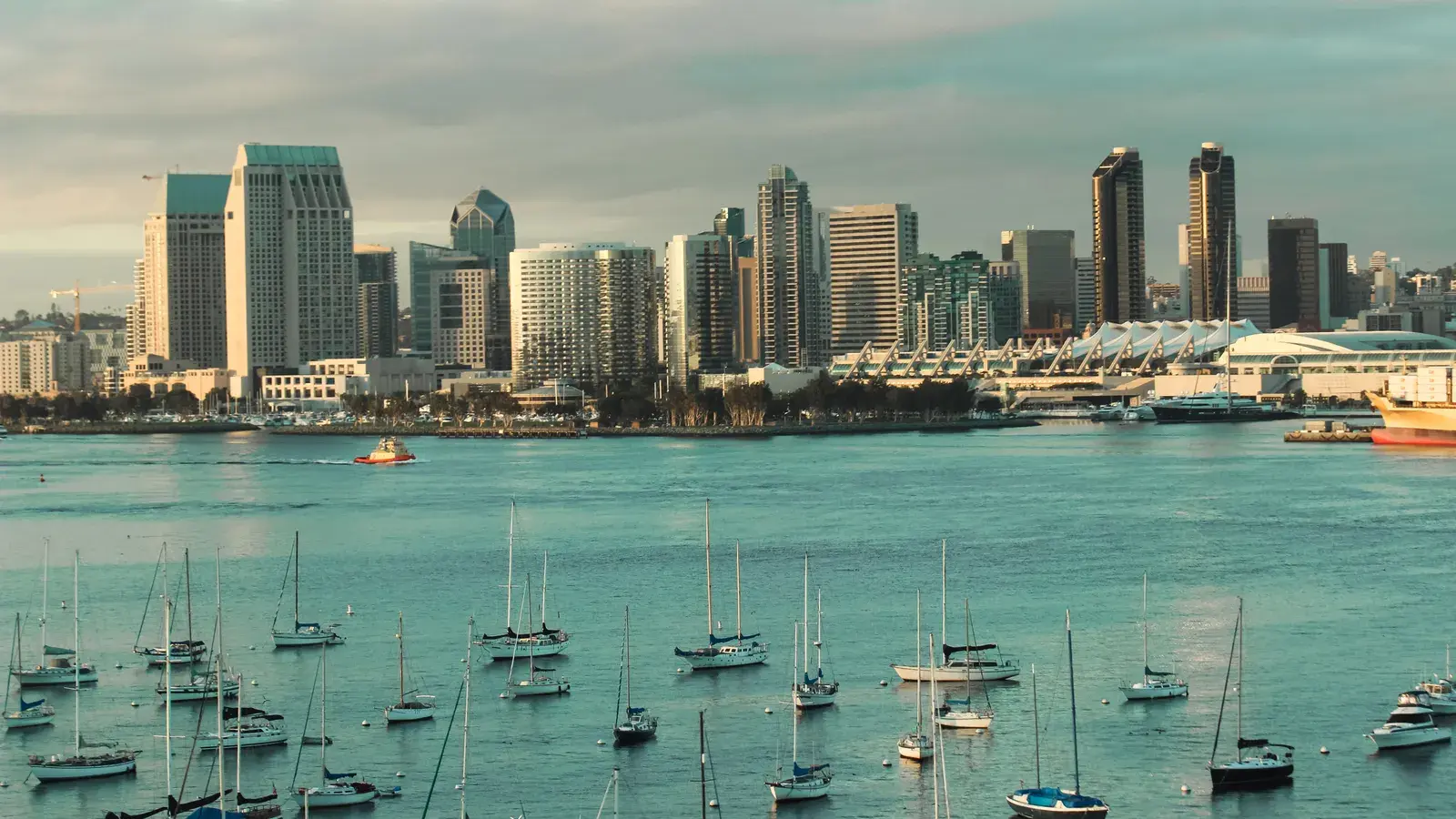 A picturesque view of the san diego skyline with sailboats d7fec7
