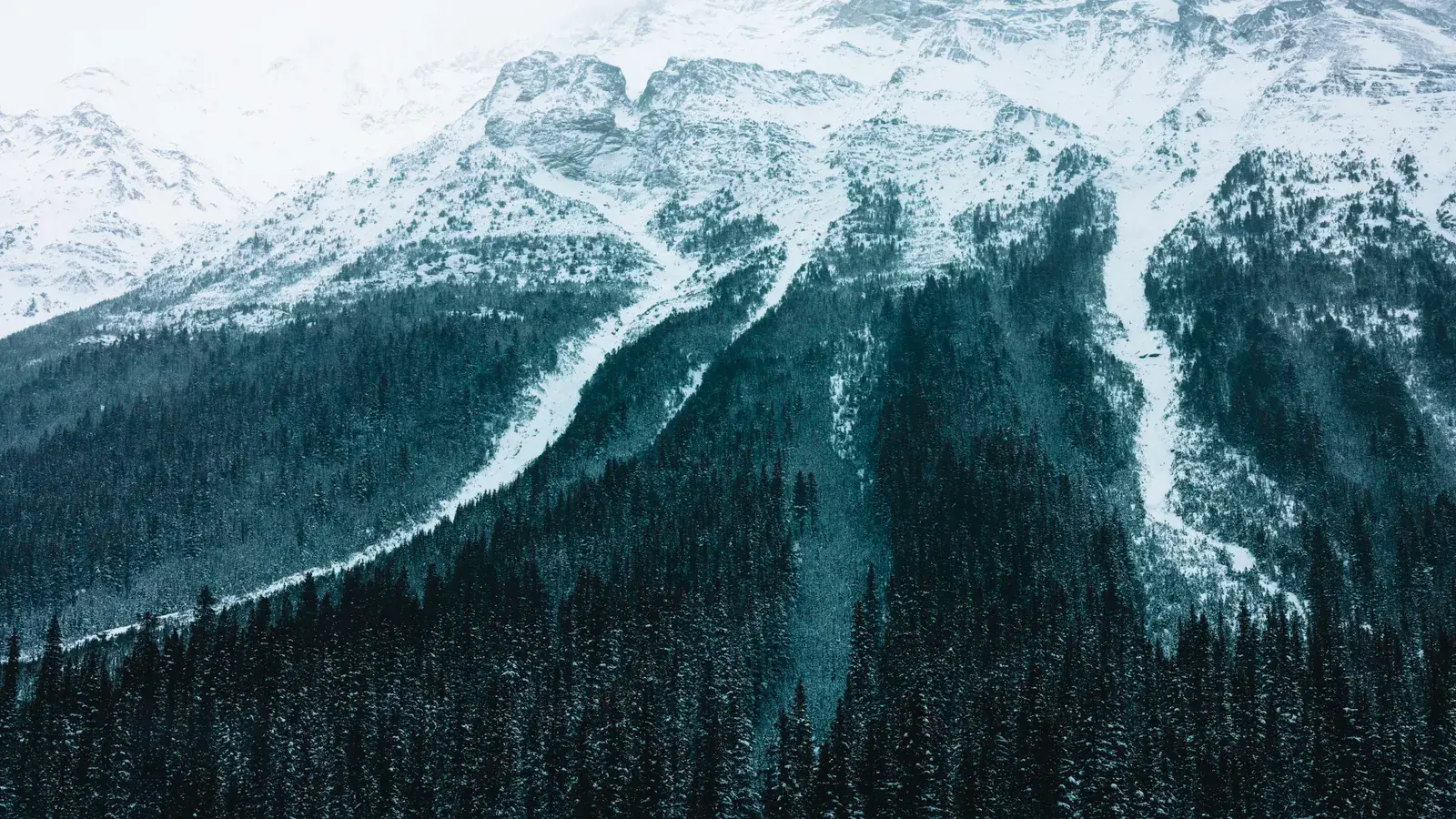 Majestic winter landscape of glacier national park db1faf