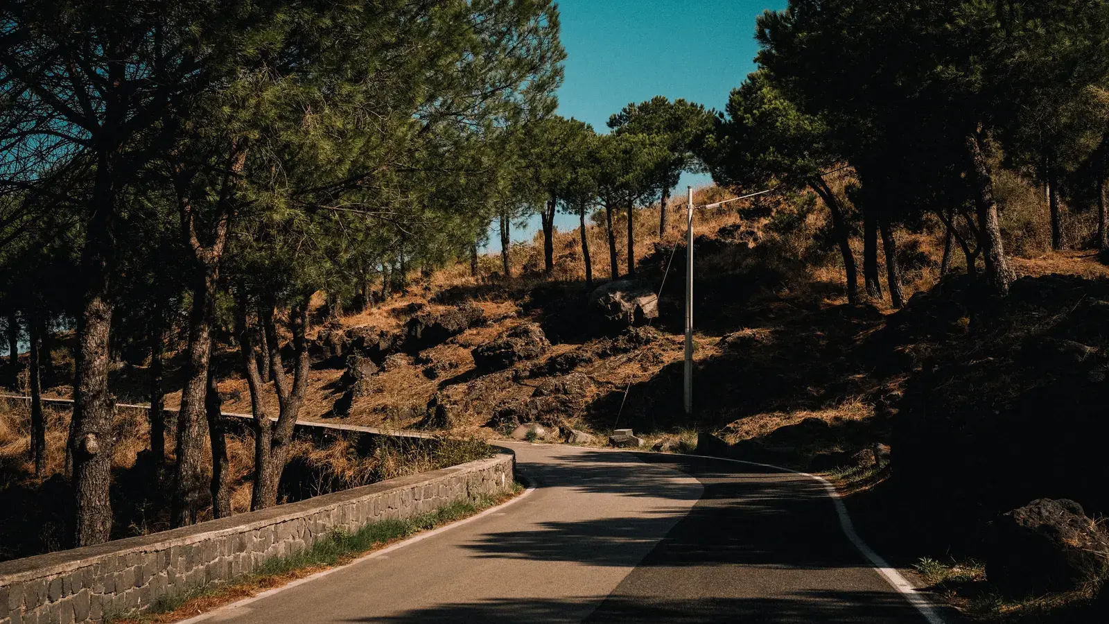 A winding rural road lined with tall trees and a stone wall, passing through a hilly, forested landscape under clear blue sky